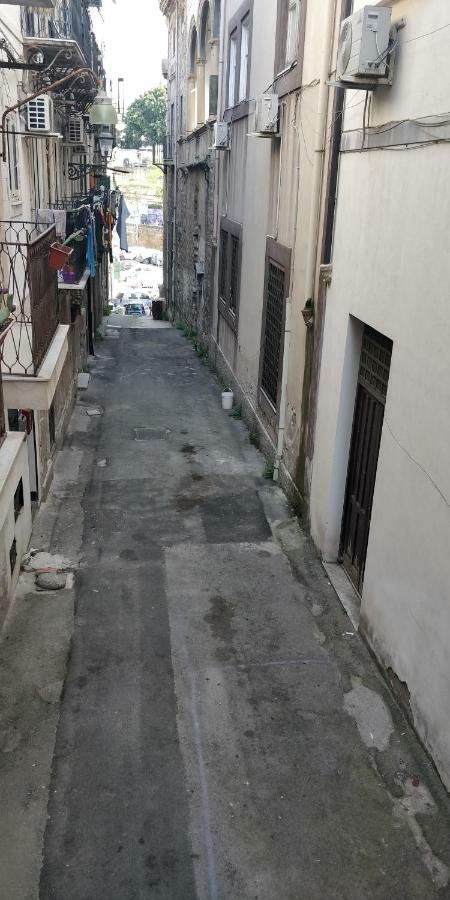 N21 Palermo